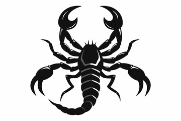 Scorpion, scorpion icon vector, scorpion tattoo. vector illustration

