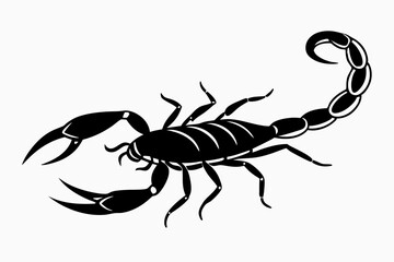 Scorpion, scorpion icon vector, scorpion tattoo. vector illustration

