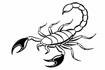 Scorpion, scorpion icon vector, scorpion tattoo. vector illustration

