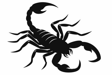 Scorpion, scorpion icon vector, scorpion tattoo. vector illustration

