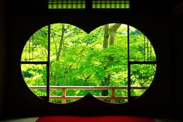 日本文化の庭園、新緑の美