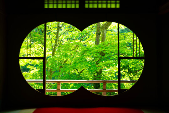 日本文化の庭園、新緑の美