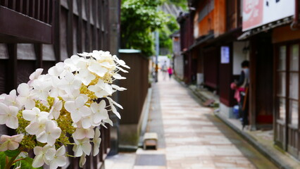 the old town of kanazawa