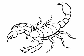 Scorpion, scorpion icon vector, scorpion tattoo. vector illustration

