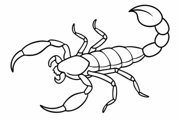 Scorpion, scorpion icon vector, scorpion tattoo. vector illustration

