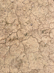 Cracked earth texture for nature background