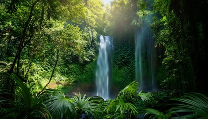 waterfall in the jungle