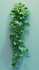 A single ivy climber plant growing up a smooth wall, shown in an isometric view