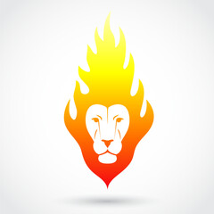 lion head color flame logo
