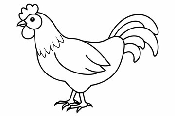 
chicken silhouette, chicken line drawing, Black silhouette of a rooster standing. Vector illustration
