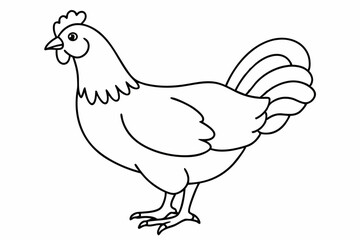
chicken silhouette, chicken line drawing, Black silhouette of a rooster standing. Vector illustration
