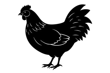 
chicken silhouette, chicken line drawing, Black silhouette of a rooster standing. Vector illustration
