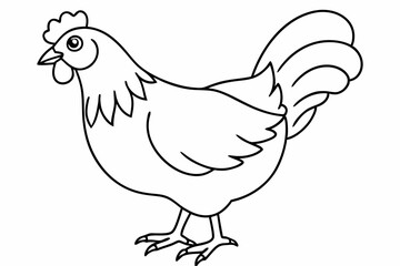
chicken silhouette, chicken line drawing, Black silhouette of a rooster standing. Vector illustration
