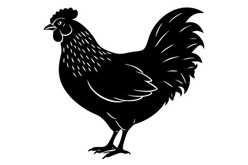 
chicken silhouette, chicken line drawing, Black silhouette of a rooster standing. Vector illustration
