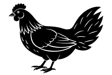 
chicken silhouette, chicken line drawing, Black silhouette of a rooster standing. Vector illustration
