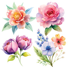 Obraz premium Beautiful Floral Watercolor Set with Various Flowers