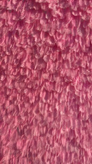 Pink natural feathers, the concept of softness and delicate fur. Beautiful natural background.