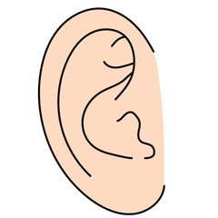 シンプルな右耳のカラーイラスト