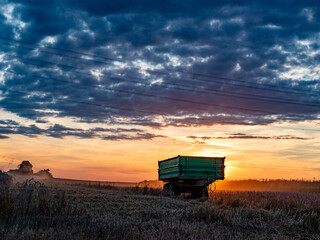 Fototapeta premium Mähdrescher bei der Ernte zu Sonnenuntergang