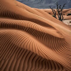 Golden Dunes at Twilight
