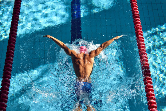 Swimmer, seen from above, powers through water with butterfly stroke, his muscular back glistening under sun as they swim between red lane dividers. Concept of aquatic sport, competition, energy.