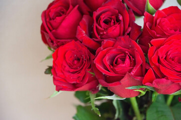 赤い薔薇