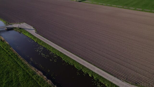 Aerial view of colorful tulip fields and farmland, Workum, Friesland, Netherlands.