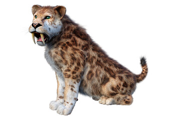 3D Rendering Saber Toothed Tiger on White