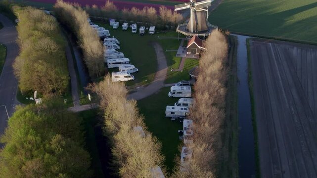 Aerial view of tulip fields and windmill in spring, t Zand, Netherlands.
