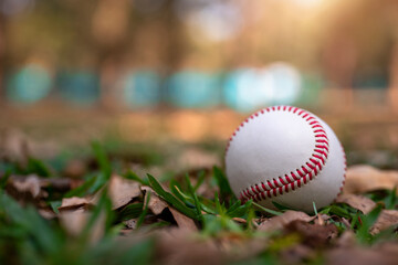 Baseball in grass