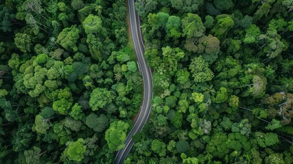 An aerial perspective of a road cutting through