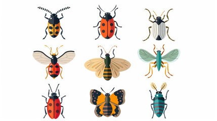 Set of 9 cartoon insect icons, modern and symmetrically arranged on white background