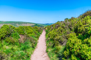 A view along the path leading to Luds Church in Staffordshire in summertime