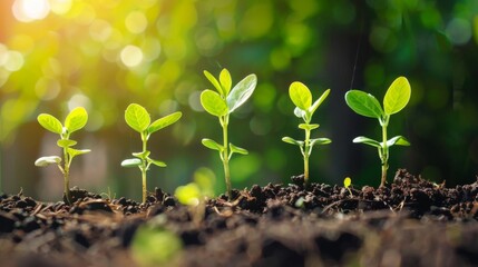 finance credit, investment or fundraising financial concept, money to start business project startup