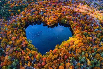 Heart shaped lake in middle of colorful autumn forest