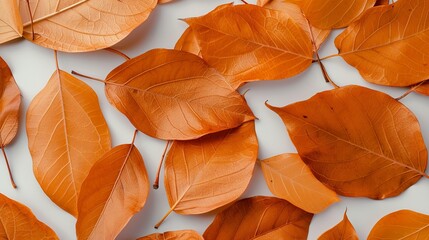 Autumn leaves texture with warm hues, ideal for seasonal greetings and nature-inspired prints. Illustrater Image, Shiny, bright, beautiful , Minimalism,