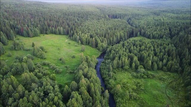 Gorgeous Scenic aerial shot of lush green forest and flowing Cedar River in Washington State