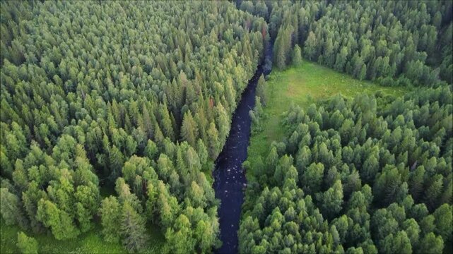Arial view, a drone shot above the river and forest