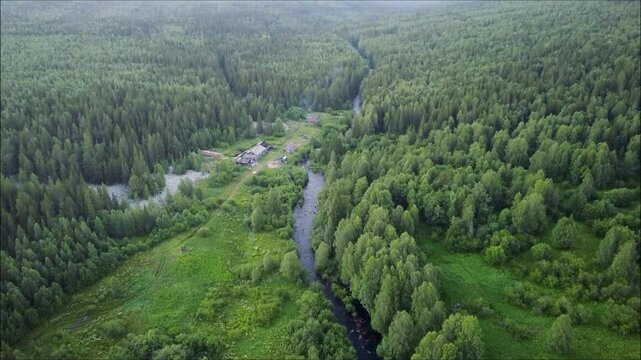 Arial view, a drone shot above the river and forest