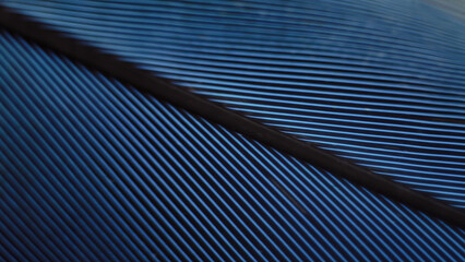 Parrot feather close-up. Macro image of blue bird feather. Diagonal blue lines. © andrbk