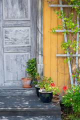 An idyllic summer image of the entry to a historic house from the garden.