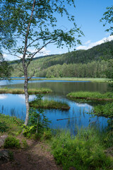 An idyllic lake surrounded by forested hills on a summer day.