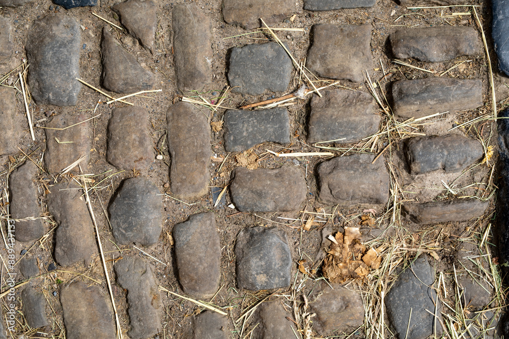 Poster Cobblestone Pathway Texture