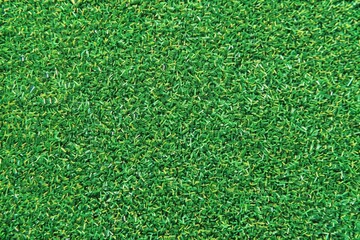 Fototapeta premium Green Grass Texture