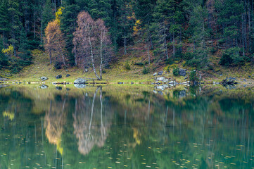 Reflections at the lake in autumn