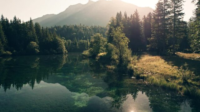 Ascending over a painterly lake surrounded with conifer forests and revealing the sunlit landscape, shot in Bavaria, Germany

