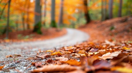A soothing autumn landscape with a winding path covered in orange fallen leaves, capturing the essence of the season and providing a warm and inviting view of nature in fall.