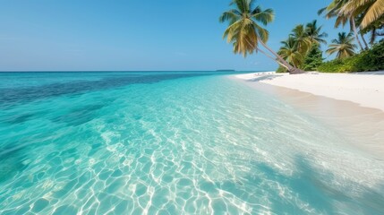 Fototapeta premium An idyllic tropical beach showcasing crystal-clear turquoise waters gently lapping onto white sandy shores, lined with green palm trees under a cloudless bright blue sky.