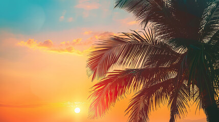 Palm trees at sunset