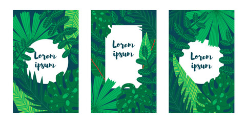Three rectangle botanical handdrawn illustrations featuring various tropical leaves, each with a text placeholder. Suitable for social media posts, mobile apps, banner design, and web or internet ads.